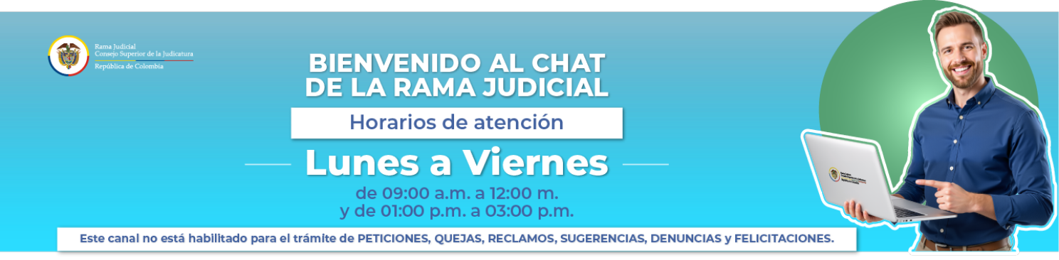 Bienvenido al chat - horarios de atención