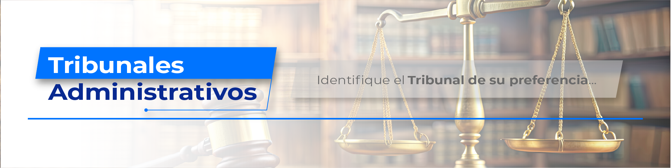Tribunales Superiores - Identifique el tribunal de su preferencia