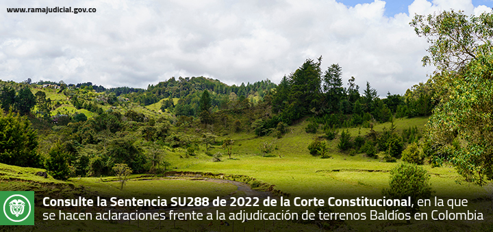 Consulte la sentencia SU288 de 2022 de la Corte Constitucional