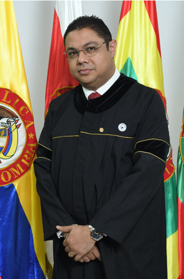 Magistrado ROMEL DAVID ARÉVALO GONZÁLEZ