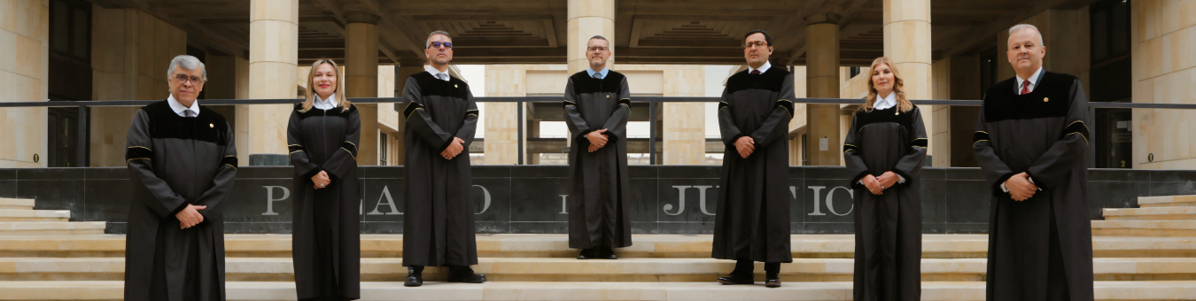 Comisión Nacional de Disciplina Judicial
