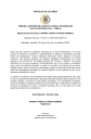 Documento
