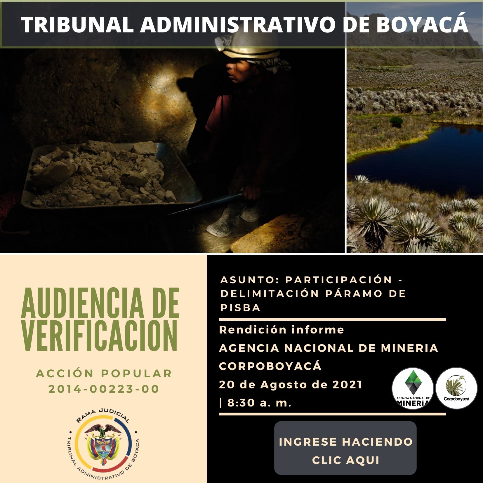 Audiencia de Verificación 2014-00223-00