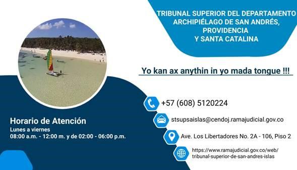 Vista previa