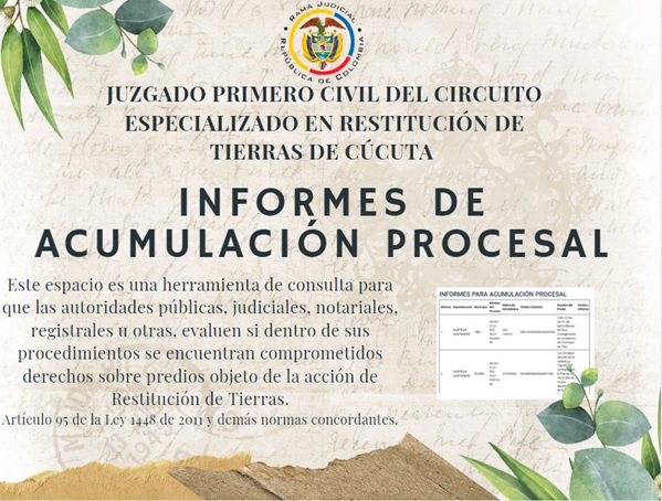 INFORMES DE ACUMULACION