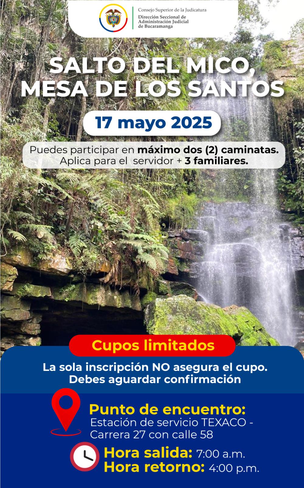 imagen salto del mico
