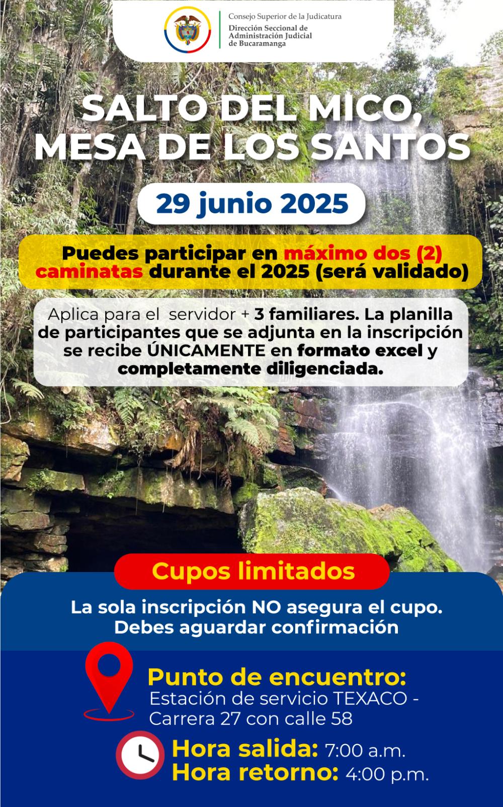 imagen salto del mico