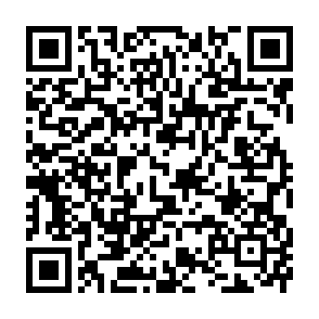 Generador de Códigos QR Codes