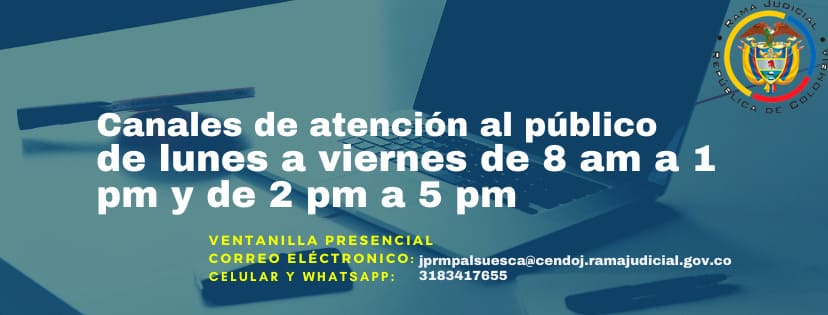 NOVEDADES