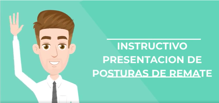 PRESENTAR POSTURAS EN UNA AUDIENCIA DE REMATE