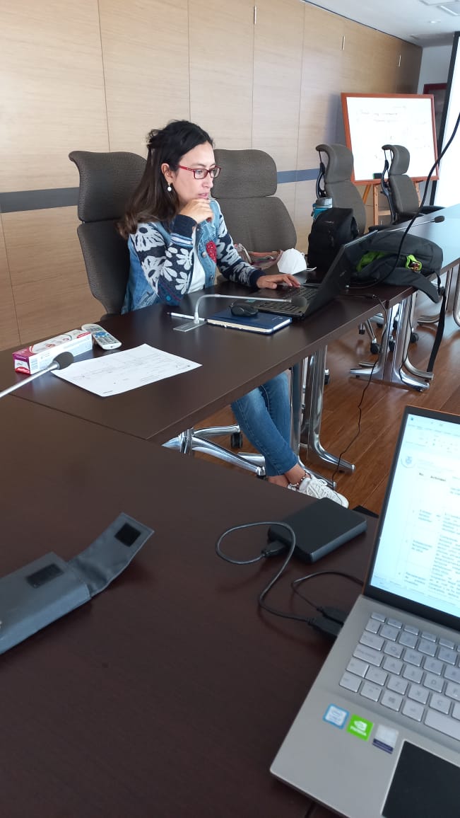 ACTUALIZACIÓN Y MEJORAMIENTO DEL PLAN DE GESTIÓN AMBIENTAL Y SOCIAL DE LA RAMA JUDICIAL