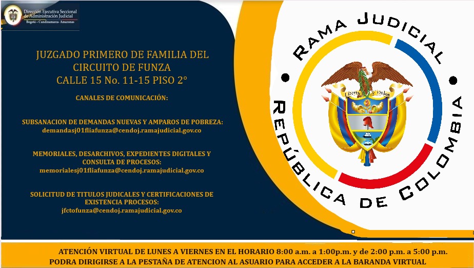 PRESENTACION CANALES DIGITALES