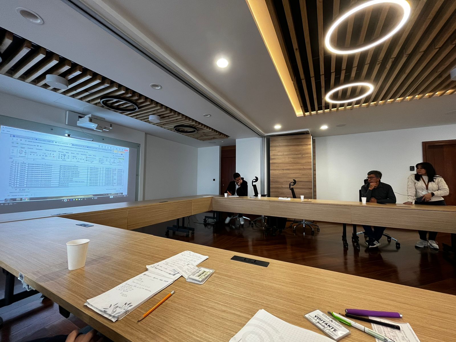 MESA DE TRABAJO AMBIENTAL NIVEL CENTRAL – PALACIO DE JUSTICIA