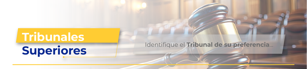 test novedad 12042025