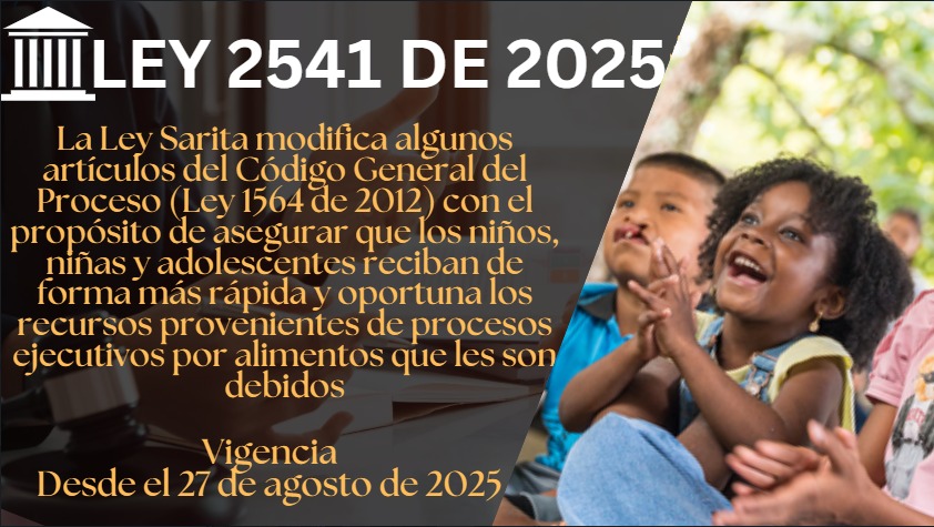 Ley 2541 de 2025 ó Ley Sarita: Protege el interés superior del menor