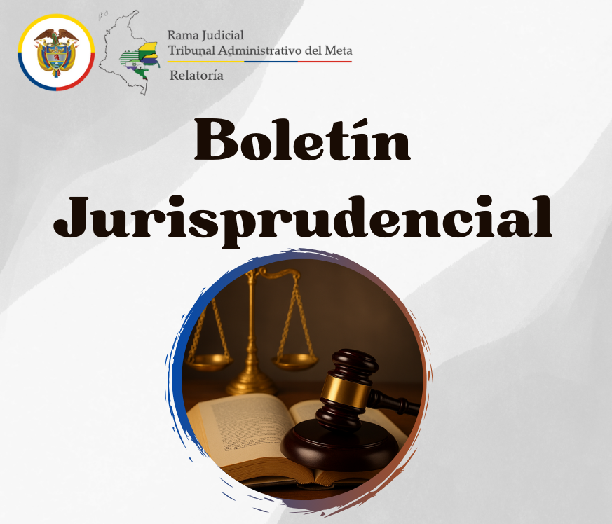 Boletín Jurisprudencial No. 003
