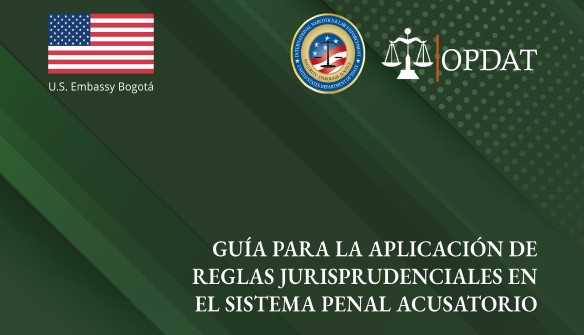 GUÍA PARA LA APLICACIÓN DE REGLAS JURISPRUDENCIALES EN EL SISTEMA PENAL ACUSATORIO