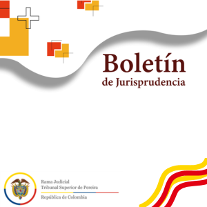 BOLETÍN 002 SALA PENAL