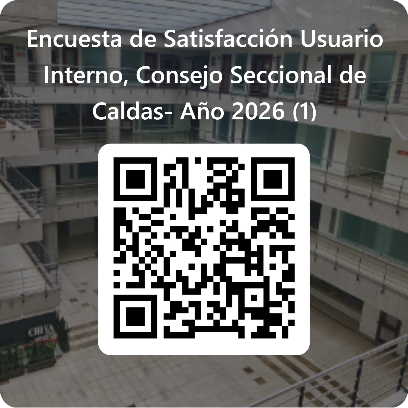 Encuesta de Satisfacción Usuario Interno, Consejo Seccional de Caldas- Año 2026 Primer Semestre