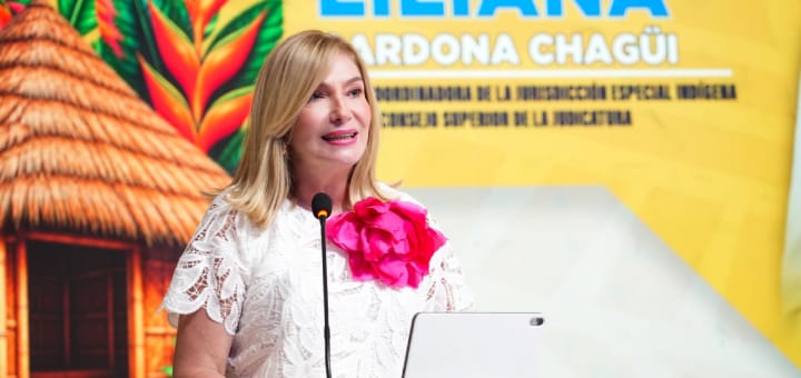 Proyecto de ley de coordinación entre el Sistema Judicial Nacional y la Jurisdicción Especial Indígena será radicado nuevamente en el Congreso de la República