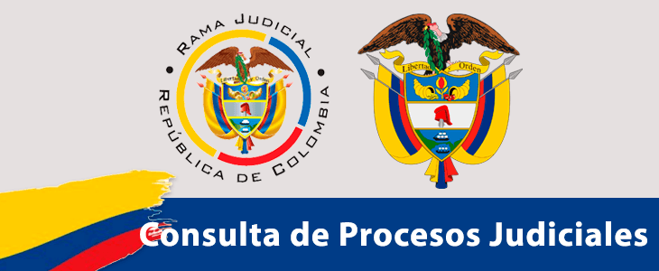 NOVEDADES CONSULTA